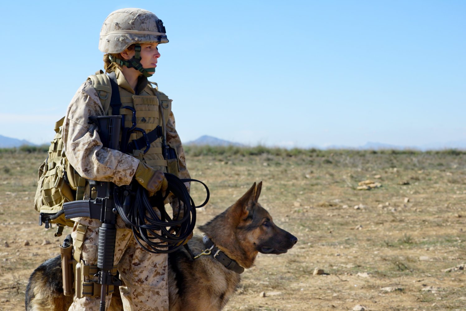 Sergeant Rex: Nicht ohne meinen Hund – Films sur Google Play