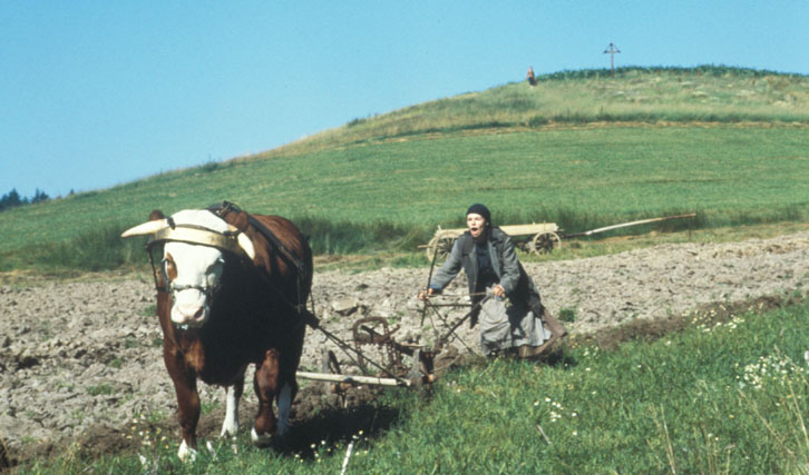 Über die Härte der Landarbeit: „Herbstmilch“ (©Studiocanal)