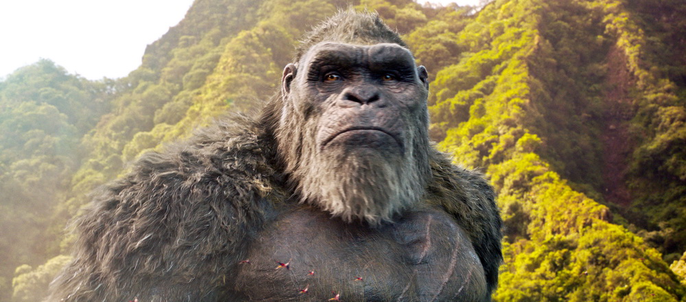Kassenmagnet im zweiten Halbjahr: "Godzilla vs. Kong" (Warner Bros.)