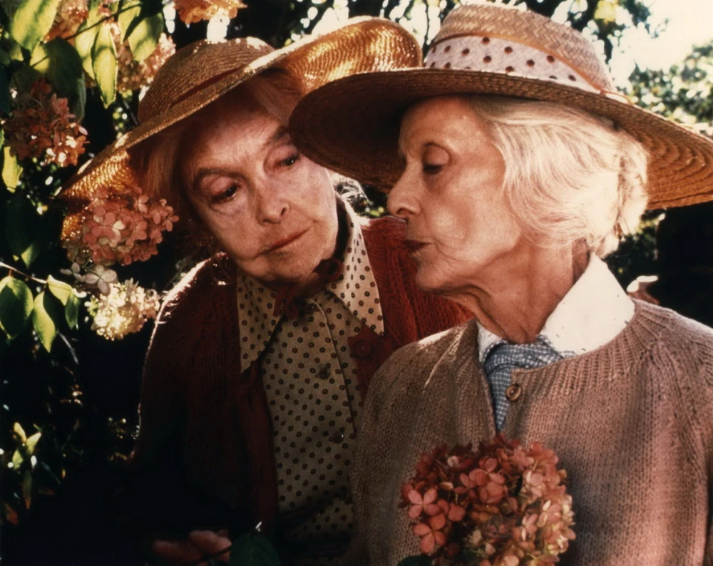 Mit Lillian Gish und Bette Davis dreht Anderson seinen sanftesten Film „Wale im August“ (© IMAGO / United Archives)