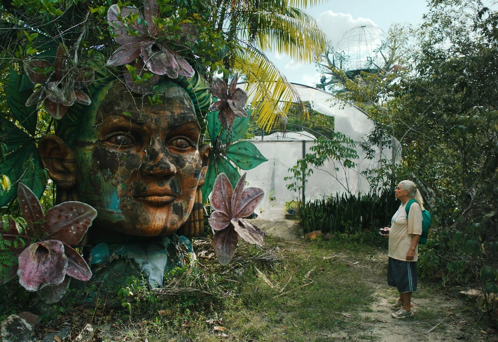 Nicht stehen bleiben: "The Blue Trail" (Desvia/Guillermo Garza)
