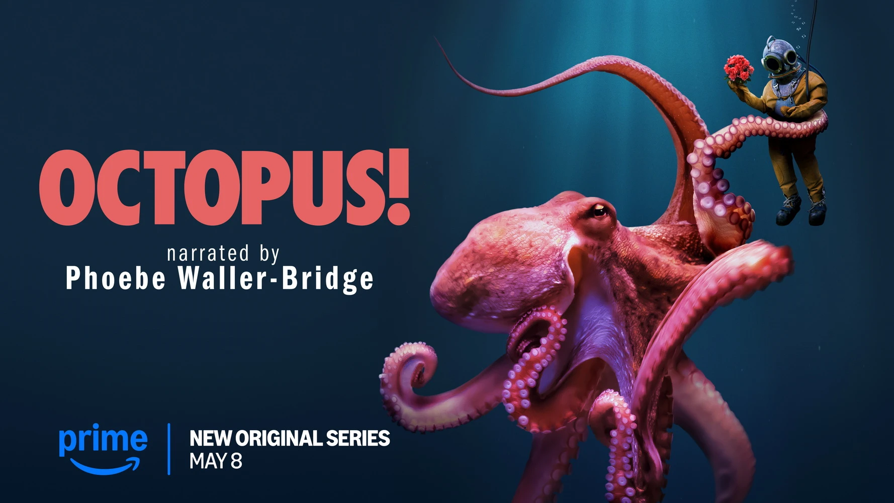 Neue Tierdoku: "Octopus!" (© Amazon Content Services LLC.)